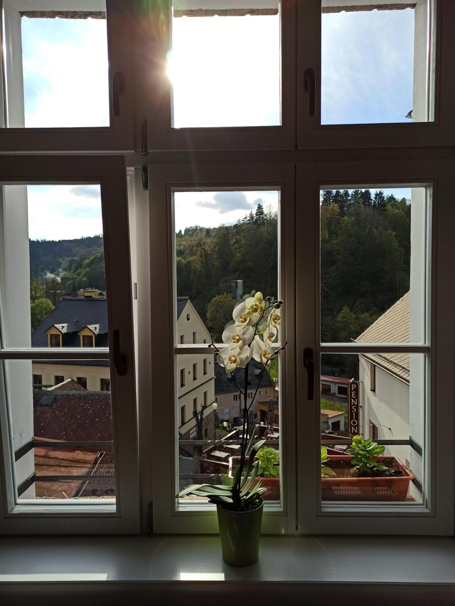 Apartmán u Mlsného medvěda Bečov nad Teplou Extérieur photo